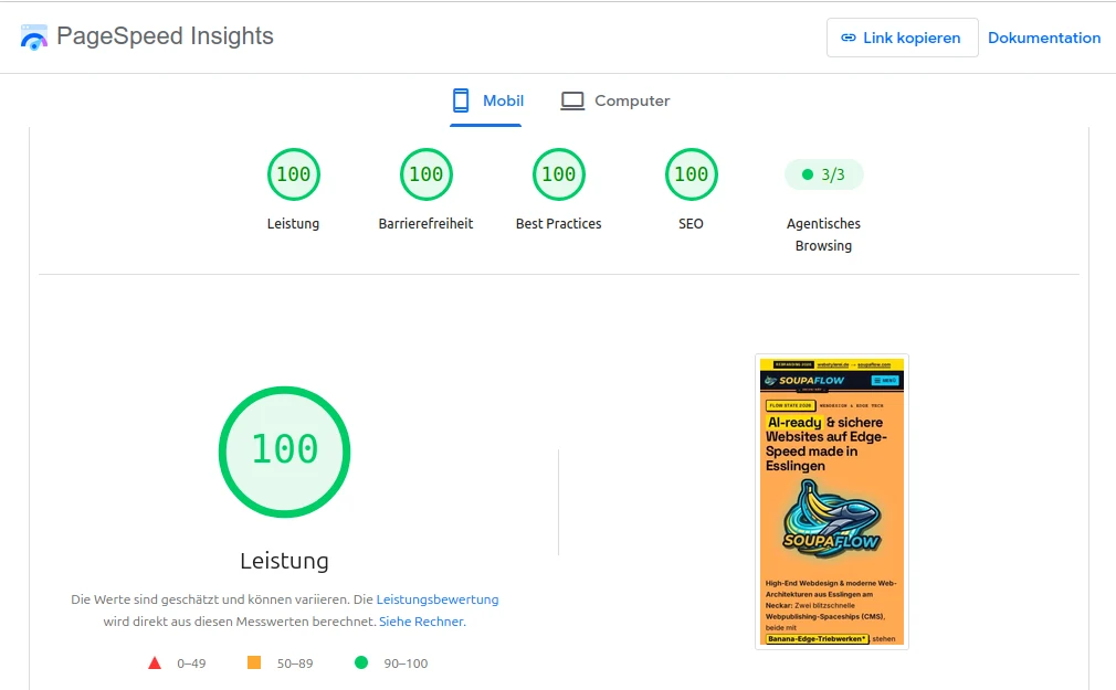 Google PageSpeed Insights 100 Punkte Mobile Score für soupaflow.com