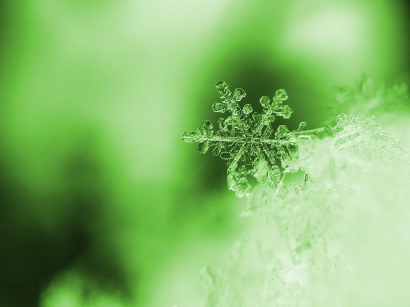 Schneekristall_Stern_aaron-burden-5AiWn2U10cw-unsplash_1920