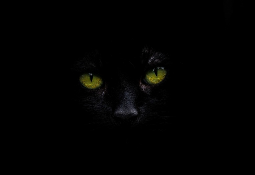 ak-n-cakiner-413313-unsplash_2048